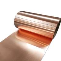 C1100 Pure Copper Earthing Strip with Low Price