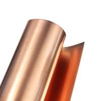 C5191 phosphor bronze strip foil